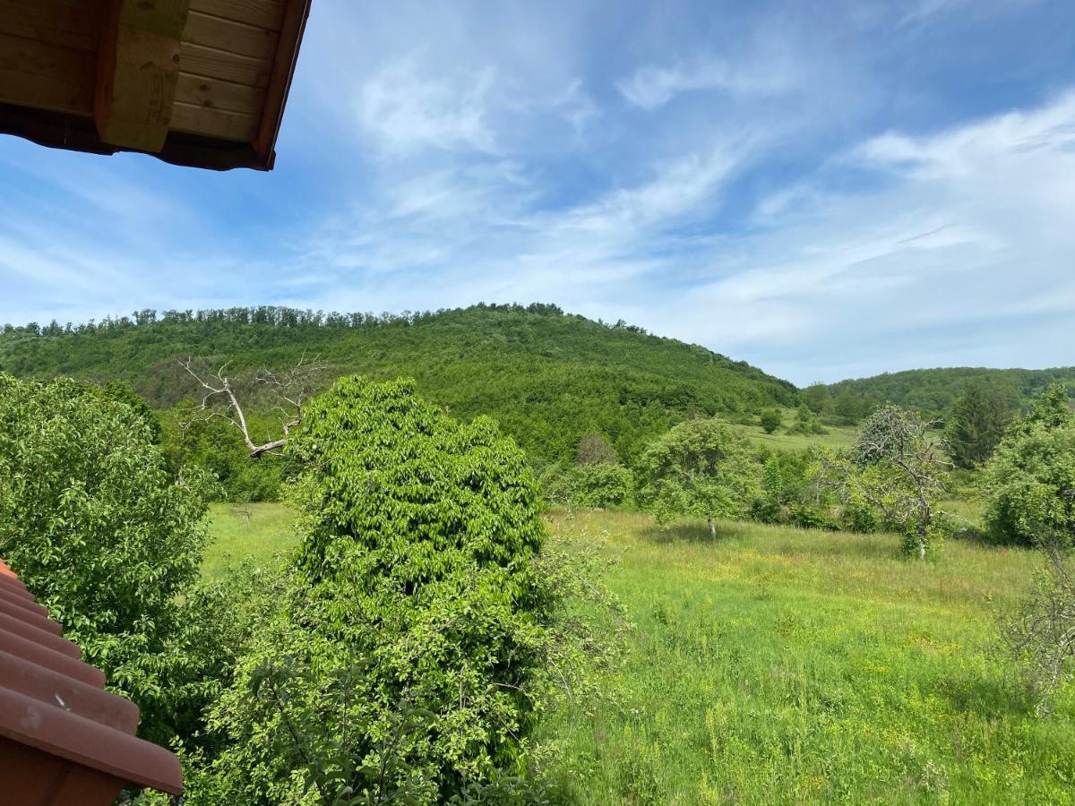 Vila Casa Dea Gladna Montana Exteriér fotografie