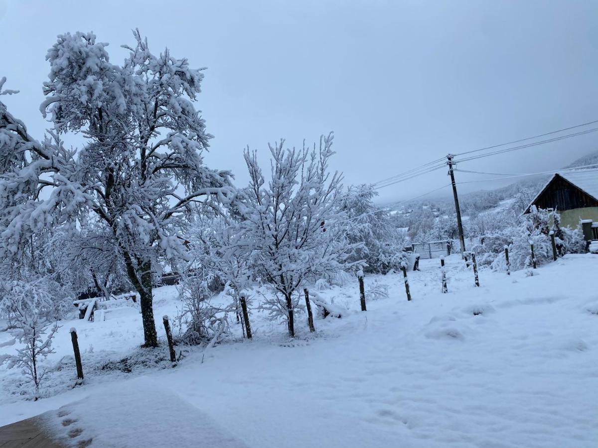 Vila Casa Dea Gladna Montana Exteriér fotografie